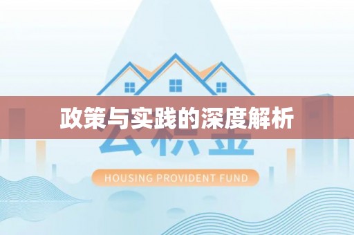 中牟政策与实践的深度解析
