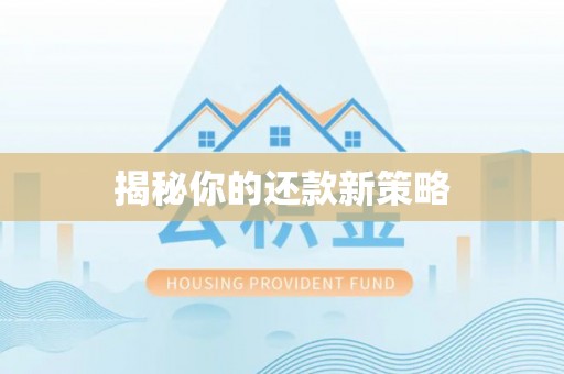 中牟揭秘你的还款新策略