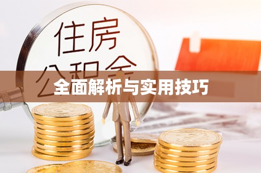 中牟全面解析与实用技巧