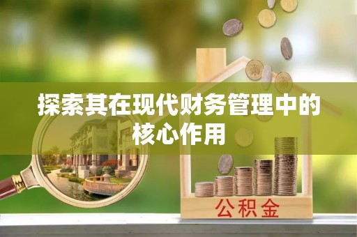 中牟探索其在现代财务管理中的核心作用