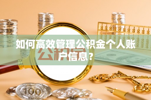 中牟如何高效管理公积金个人账户信息？