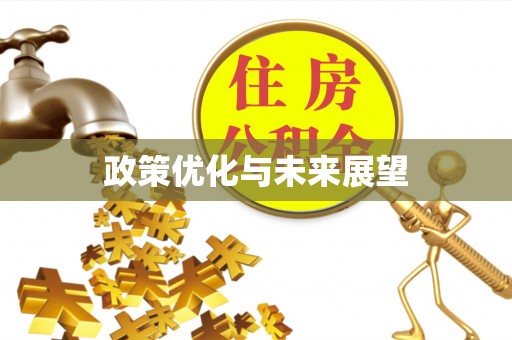 中牟政策优化与未来展望