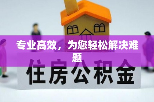 中牟专业高效，为您轻松解决难题