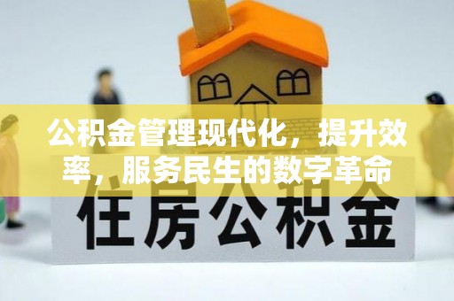 中牟公积金管理现代化，提升效率，服务民生的数字革命
