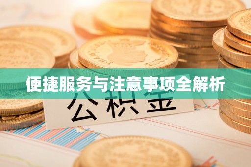 中牟便捷服务与注意事项全解析