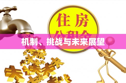 中牟机制、挑战与未来展望